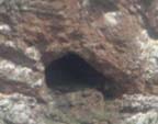 La Cueva Santa